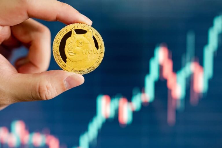 Dogecoin and Shiba Inu: Dogecoin made a jump above 0.06900