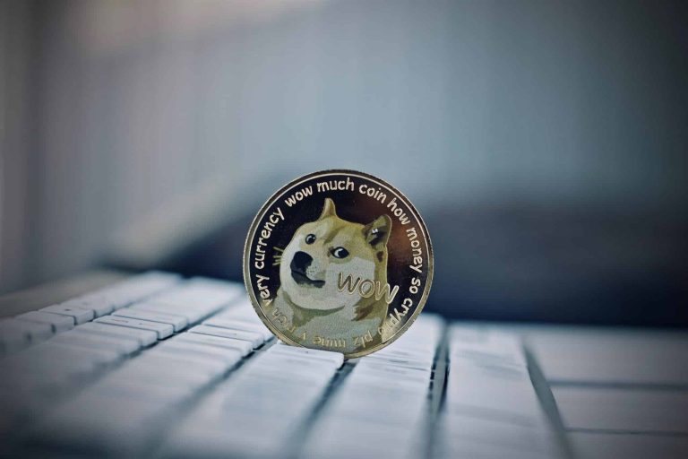 Dogecoin and Shiba Inu: Dogecoin continues to recover