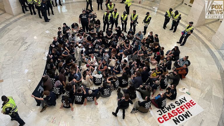 Soros’ foundation funds nonprofit that finances pro-Palestine protests: Watchdog group