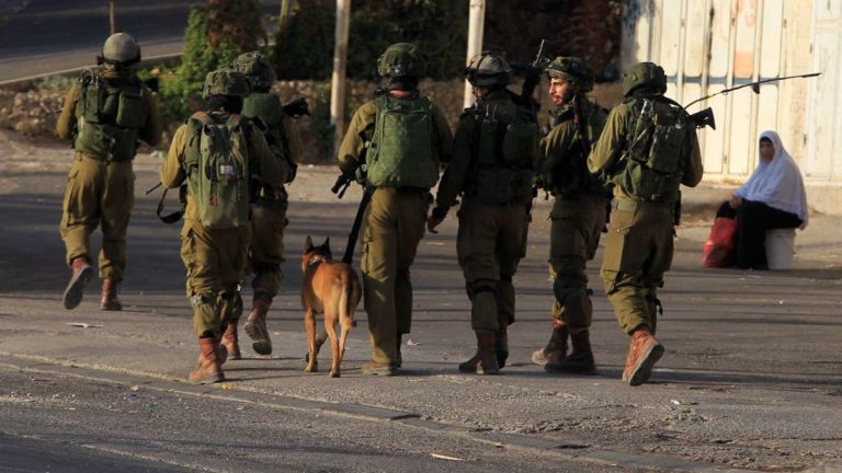Israeli forces reveal footage of K9 unit clearing houses in Gaza, uncovering Hamas weapons