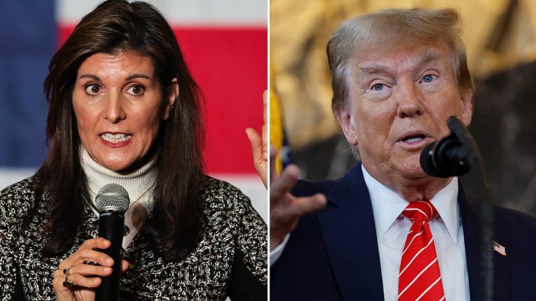 Here are the areas where Haley could put up a fight as Trump looks to sweep the South Carolina primary
