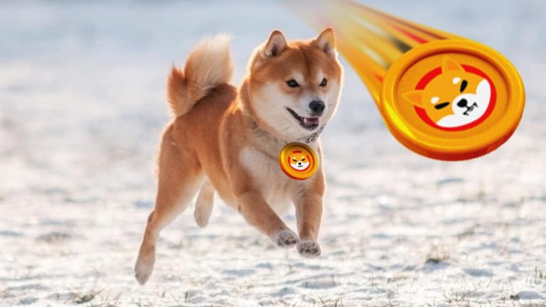 Dogecoin and Shiba Inu Price Update: Rising to 0.00000974