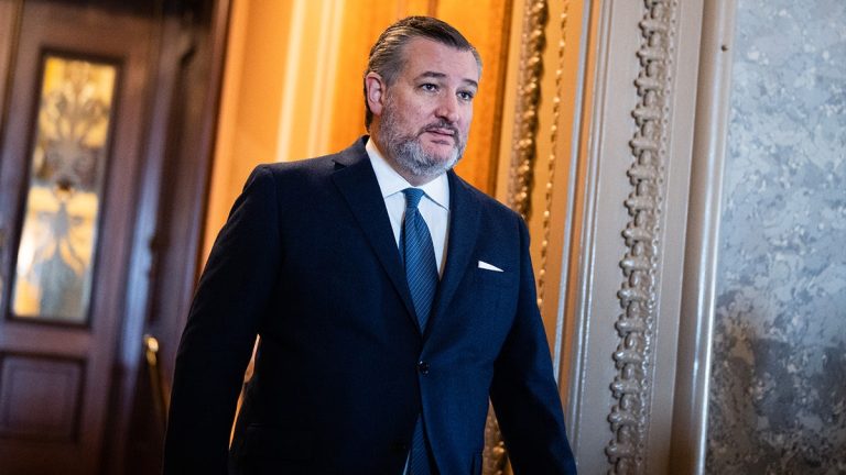 GOP senators urge Biden admin to ‘immediately’ end ‘racist’ policy in CHIPS grant approval: ‘Anti-American’